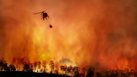 Incendios forestales ¿cómo afrontarlos?