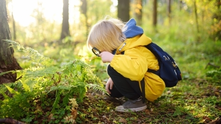 Naturan Hezi V. Topaketak. Harritu, entzun... Izan bidelagun!