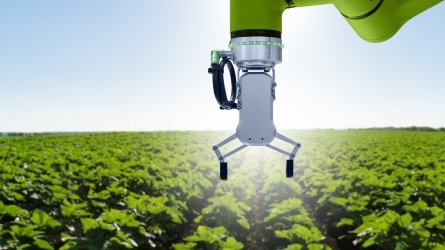 Adaptación de la agricultura al cambio climático: desafíos y oportunidades Adaptación de la agricultura al cambio climático: desafíos y oportunidades