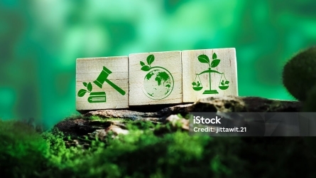 Los impactos del cambio climático sobre la salud como evidencia clave en casos de litigación climática