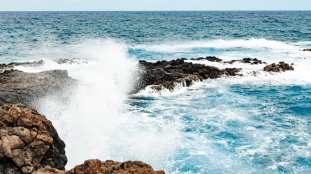 Changing Oceans: Scientific Information to Anticipate and Act against Climate Change