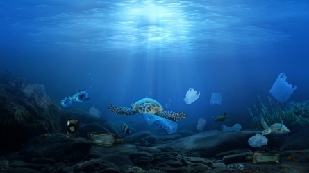 Salvemos nuestros mares: Comprender los nuevos contaminantes para tomar medidas