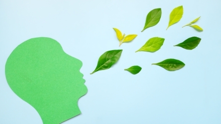 Escuela de comunicación ambiental 2026. Narrativas climáticas: relatos para la acción