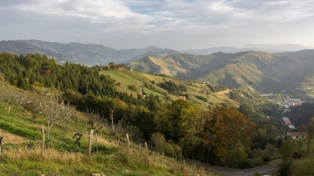 Aisia, kirola, ehiza eta mendietako jarduerak (basogintza) nola uztartu
