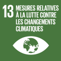 13. Climate action